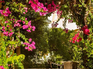 YOUR MEMORIES HOTEL & APARTMENTS