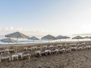 Zeus Hotels Palm Beach