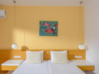 Zeus Hotels Palm Beach