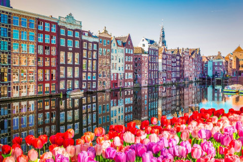 AMSTERDAM - Parada florilor 2027
