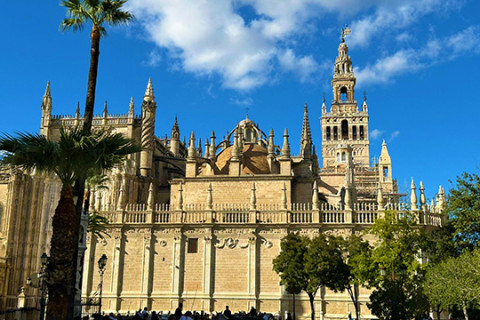 Circuit in ANDALUZIA: Viva la Vida! PREMIUM TOURS 2026