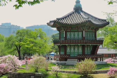 COREEA DE SUD – Festivalul florilor de cires PREMIUM TOURS 2026