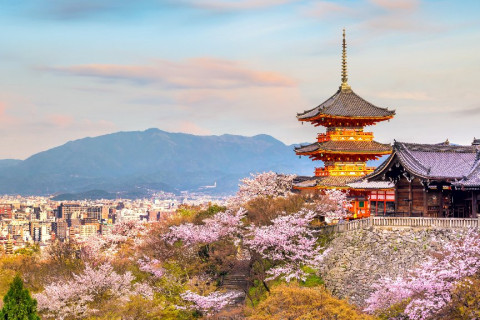 COREEA DE SUD si JAPONIA - Sarbatoarea ciresilor in floare 27.03.2027 (13 nopti)