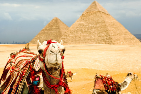 EGIPT 2027 - De la Marea Rosie la Piramide: Croaziera pe Nil & Cairo (plecare din Cluj)