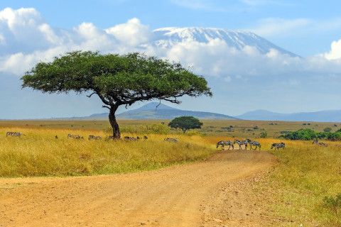 KENYA si TANZANIA 2027 (KTS)