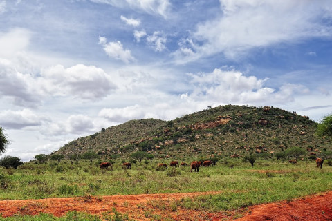 KENYA - Trio kenyan (4*) 2027 (KST)