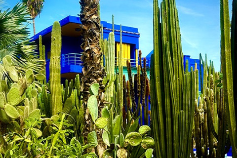 MAROC – Regatul contrastelor PREMIUM TOURS 2025-2026