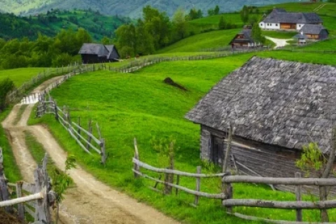 O Zi cat o Vacanta - Bran – Festivalul Branzei si „Ravasitul Oilor”