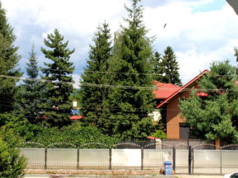 AnuÈ›a