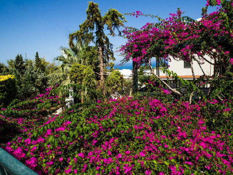 Anna Maria Village
