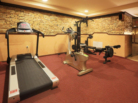 Royal Park Apartments (Bansko) 3*