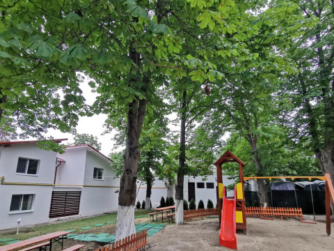 LILIACUL