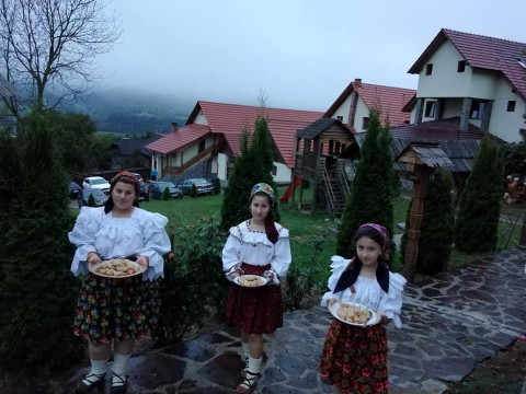 Pensiunea Valea Branzei (Barsana)