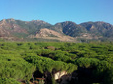 ABAMAR HOTEL