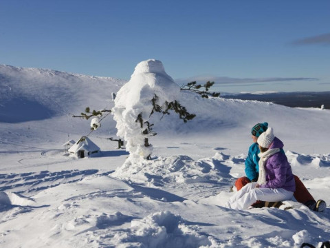 Craciun in Laponia Break Sokos Hotel Levi