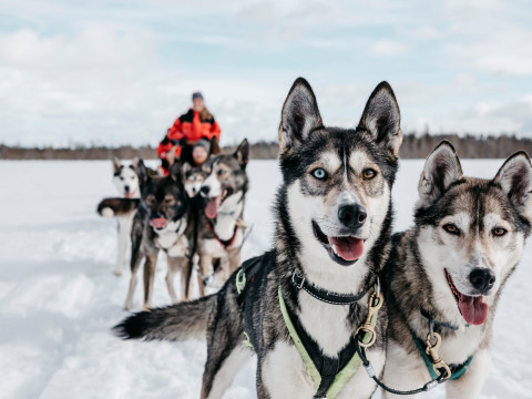 Charter Laponia Hotel Scandic Pohjanhovi Rovaniemi