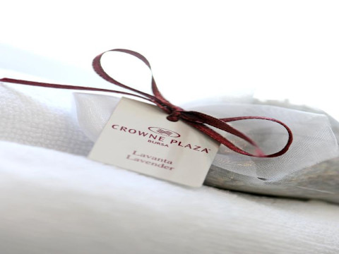 Crowne Plaza Bursa Convention Centre  Thermal Spa