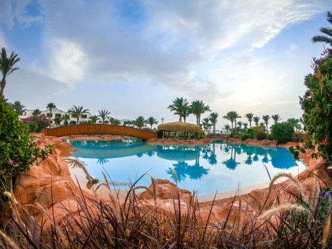 ROMANCE REGENCY CLUB*****