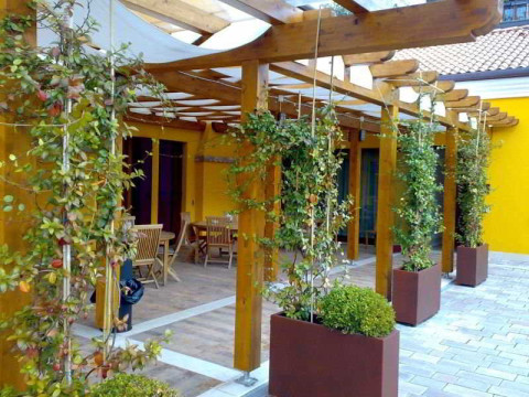 VILLA COSTANZA
