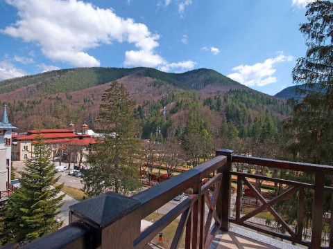 COMPLEX PANORAMIC.