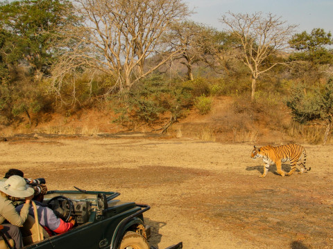 Circuit Explore India Sarbatoarea Diwali si Nepal