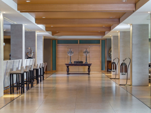 Divani Meteora Hotel