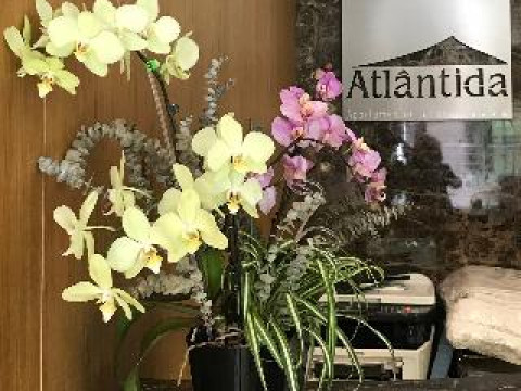 APARTAMENTOS TURISTICOS ATLANTIDA