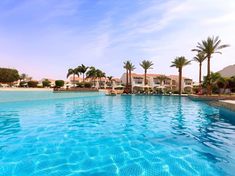 Reef Oasis Blue Bay