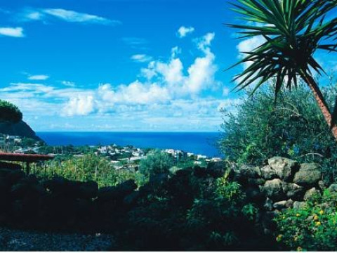 AGRITURISMO LA PERGOLA