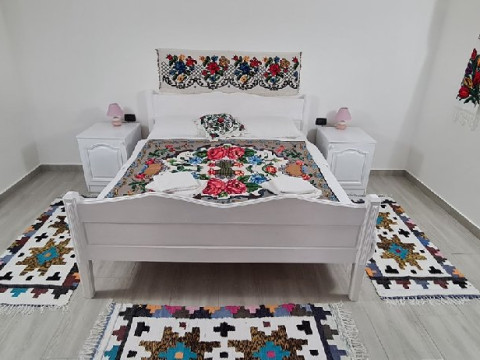 Casa Fratii Mat (Moisei)