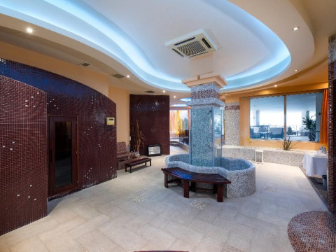 Alexandros Palace Hotel & Suites Halkidiki