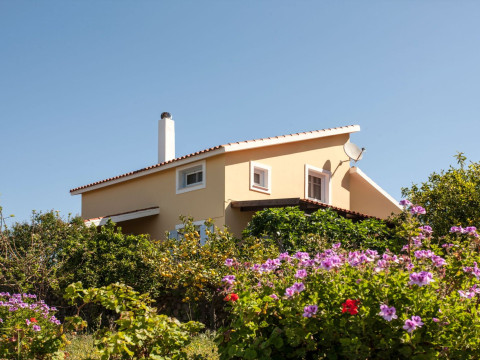 Aegina Bill and John