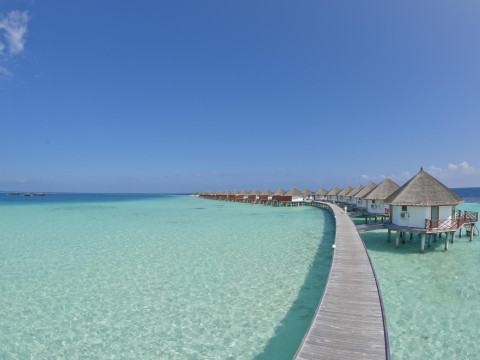 Safari Island Resort & Spa