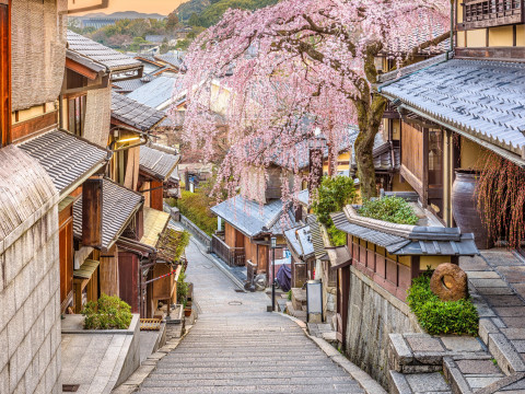 Circuit Japonia Sakura – O calatorie autentica