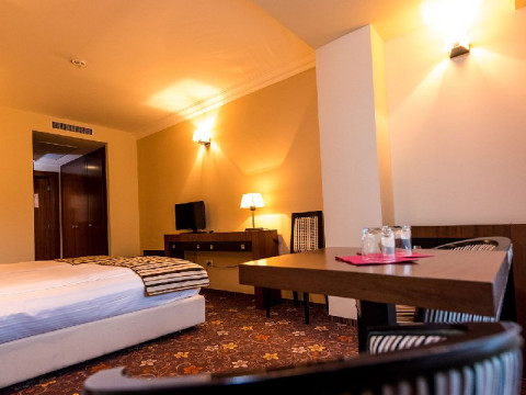 HOTEL PHOENIX CONFERENCE SPA BUZIAS