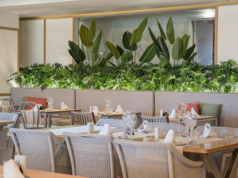 LIVVO Anamar Suites