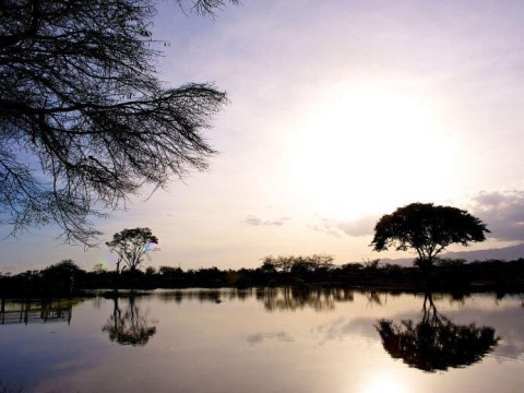 Bamburi Beach and Safari Tsavo Explorer RO