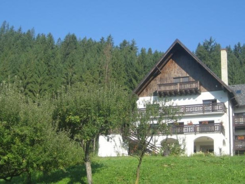 Pensiunea BUCOVINA LODGE