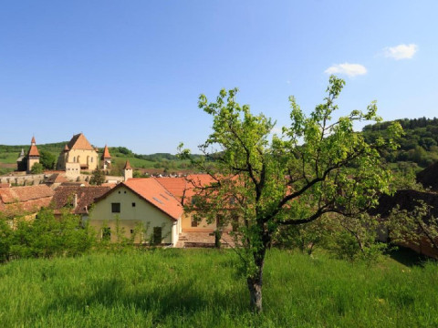 Complex Medieval Unglerus (Biertan)