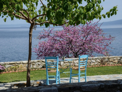 GODDESSES VILLA 2 IN NIES