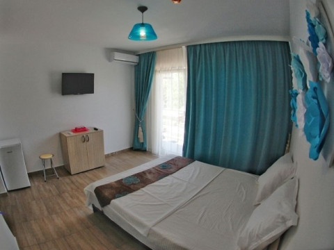 Vila Ursu