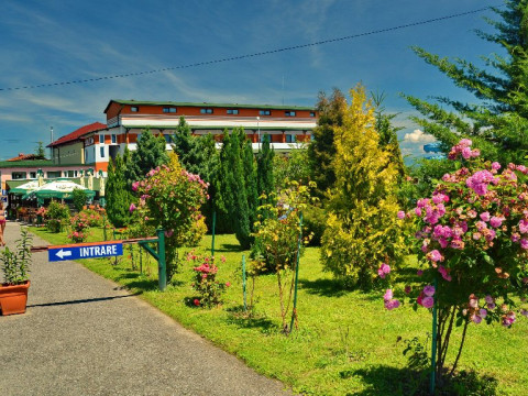 Holiday