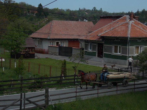 Muntele Rece