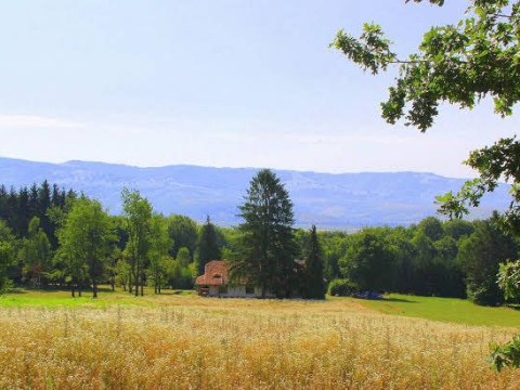 DOBRICA HUNTING LODGE