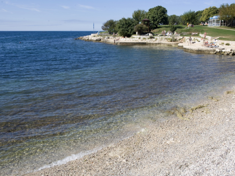 Albatros Plava Laguna