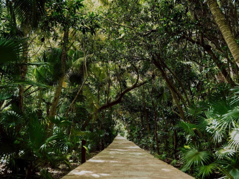 Catalonia Playa Maroma