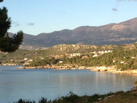THALASSA