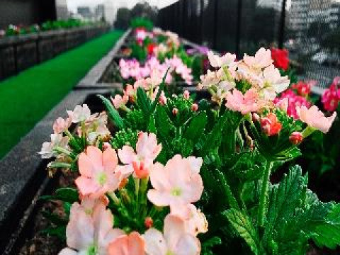 BTH – BOUTIQUE CONCEPT