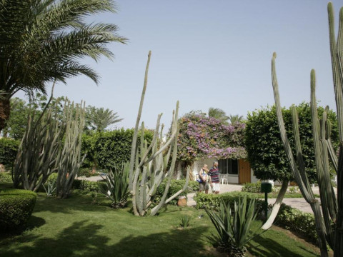 SHAMS SAFAGA RESORT