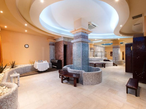 Alexandros Palace Hotel & Suites Halkidiki
